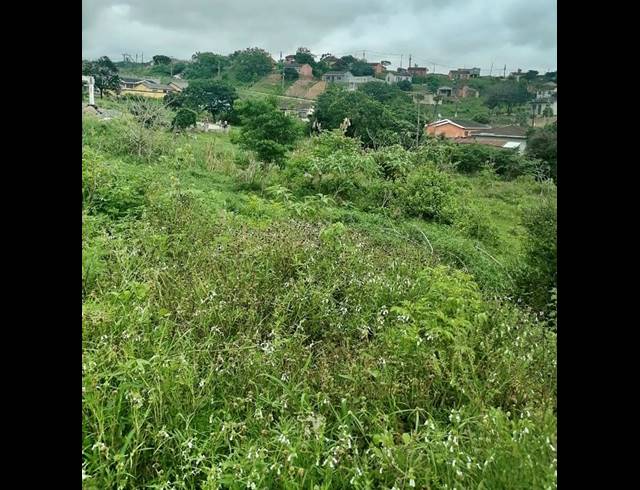 LAND FOR SALE IN LOVU